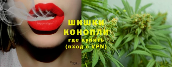 Альфа ПВП Аркадак