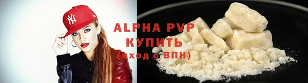 PSILOCYBIN Вяземский