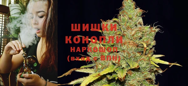 индика Вязьма
