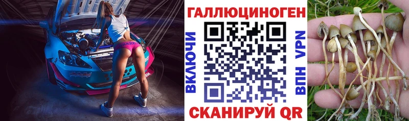 Псилоцибиновые грибы GOLDEN TEACHER  Нестеров 