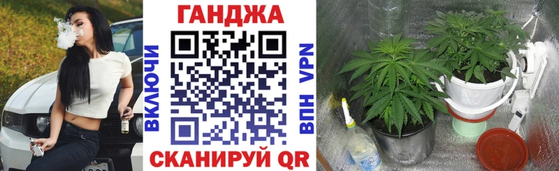 hydra tor  где купить наркоту  Нестеров  Каннабис индика 